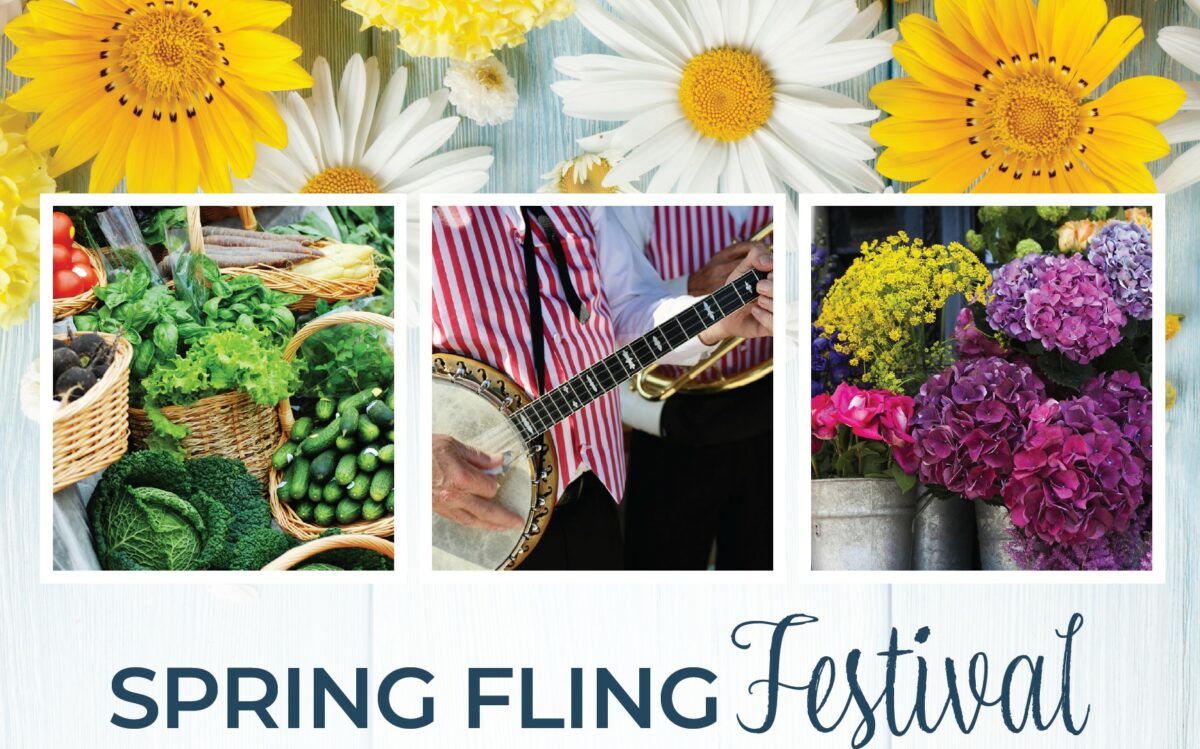 Spring Fling Web