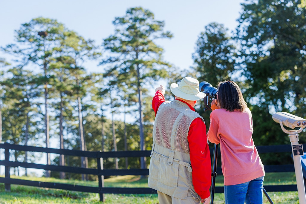 elderly couple looking at scenic views
